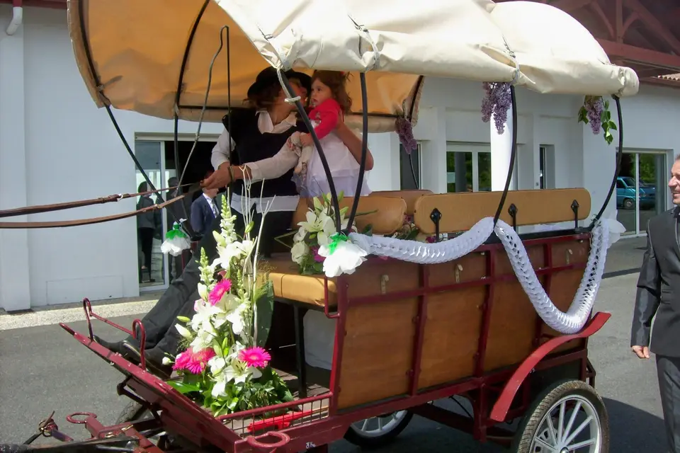 Zaldikaroan en Calèche — photo 2