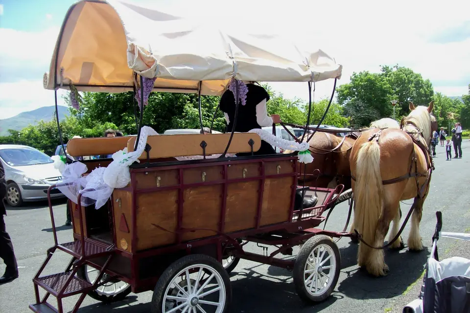 Zaldikaroan en Calèche — photo 3