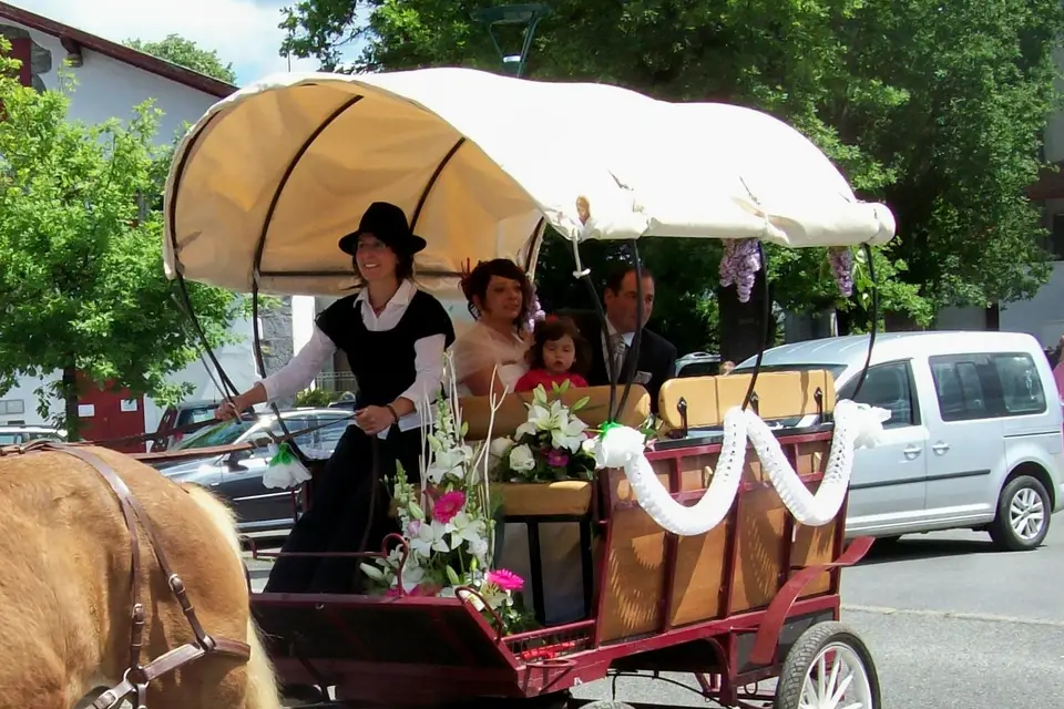 Zaldikaroan en Calèche — photo 4