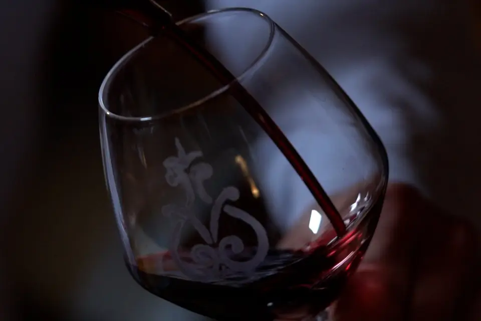 Domaine Coudoulet — photo 5