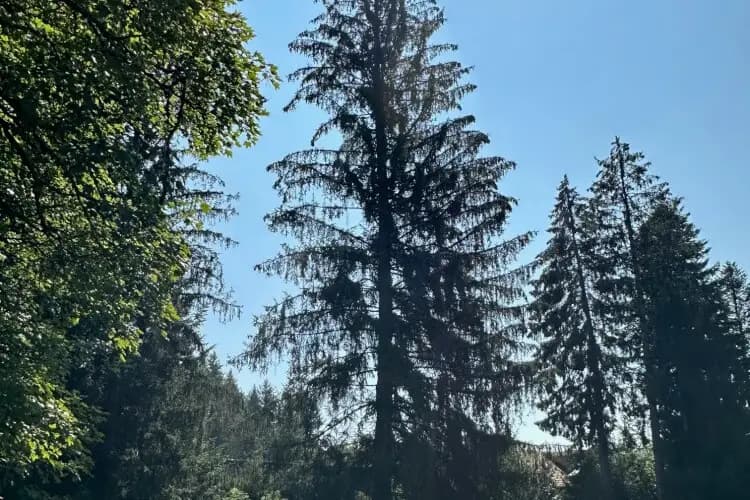 Le Chateau de Faymont — photo 6