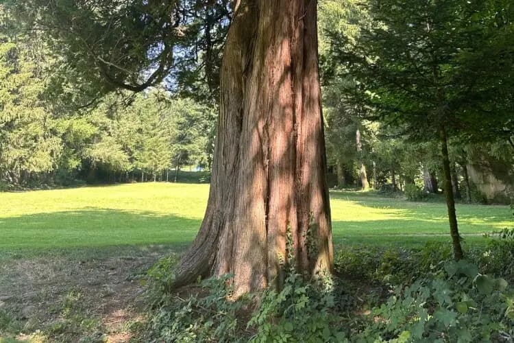 Le Chateau de Faymont — photo 5