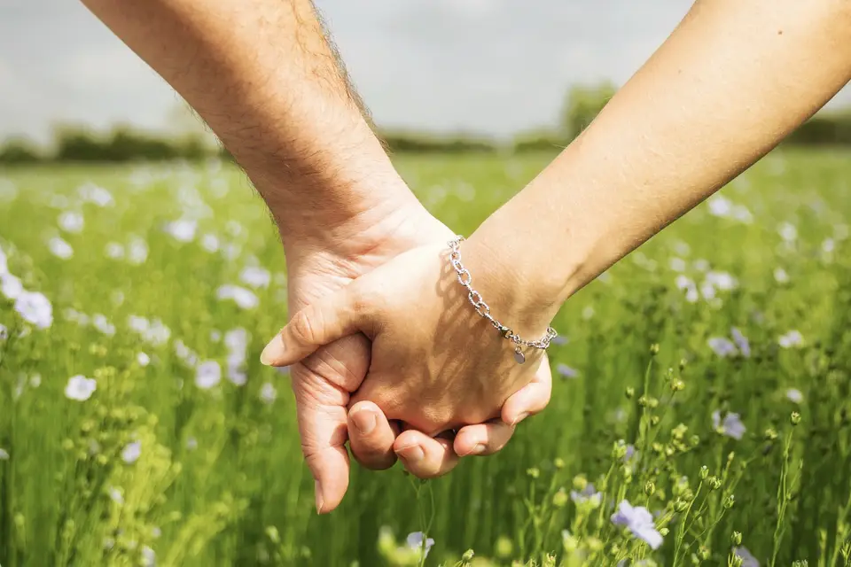 Noctaris — photo 3