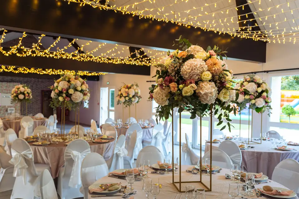 Noctaris — photo 4