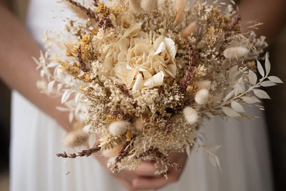 Helipic Frank Caillet — photo 2