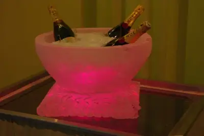 Mederic Seite, sculpteur sur glace — photo 3