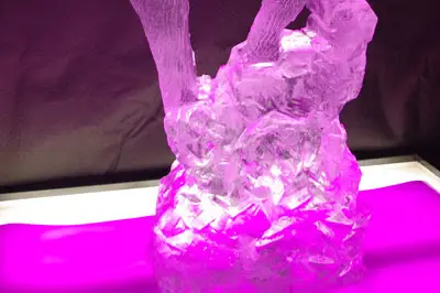 Mederic Seite, sculpteur sur glace — photo 5