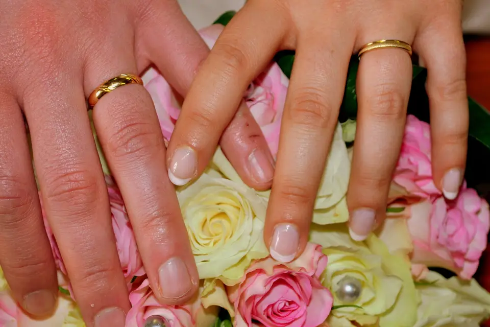 La Vision Enchantée — photo 4