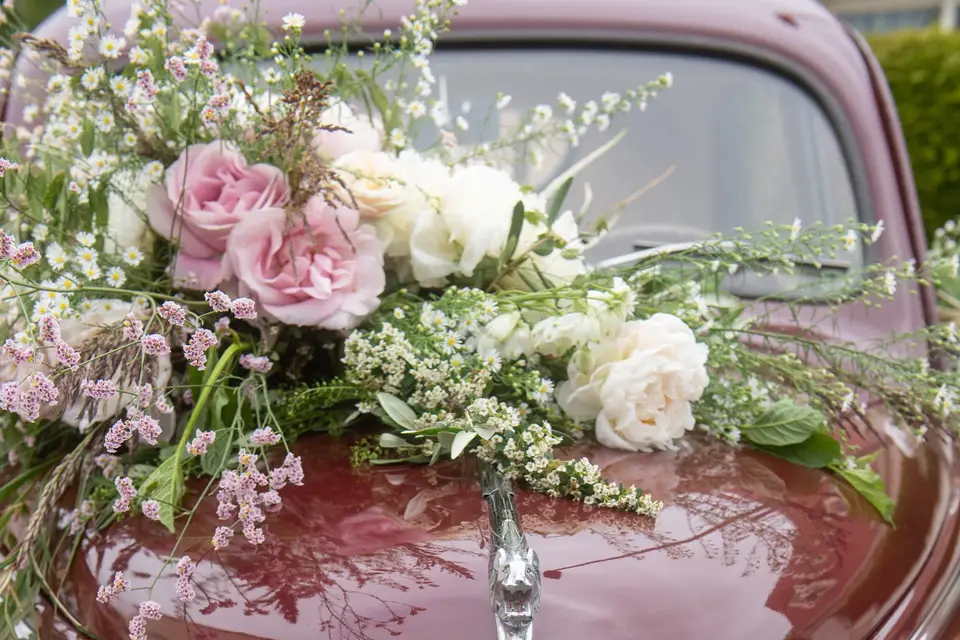 Jacques Le Renard — photo 2