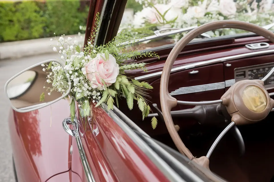 Jacques Le Renard — photo 1