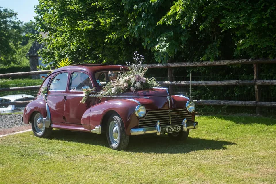 Jacques Le Renard — photo 4