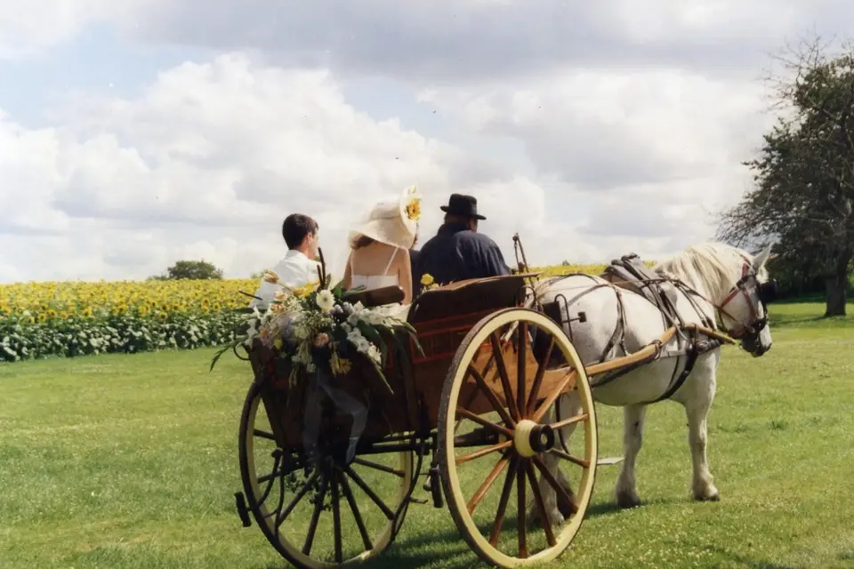 Château de L'Isle Savary — photo 3