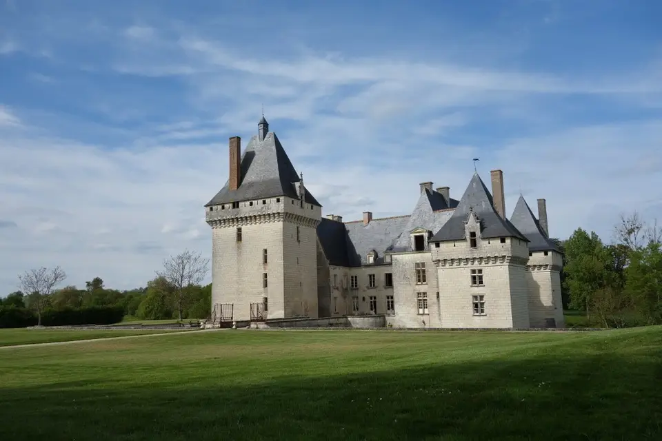 Château de L'Isle Savary — photo 4