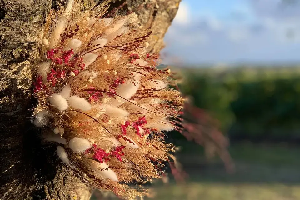 LM Les Fleurs — photo 9