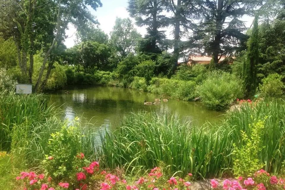 Orangerie de Neuville — photo 2