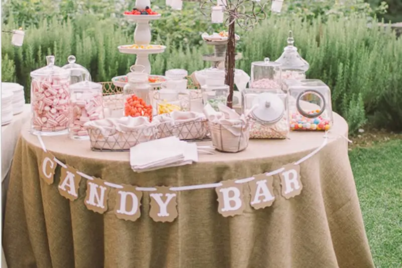 Anim'Chouette — photo 3