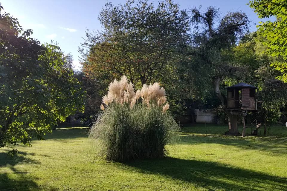 Le Moulin de Pommeuse — photo 8