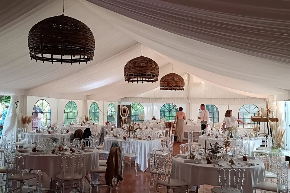 Music Only — photo 3