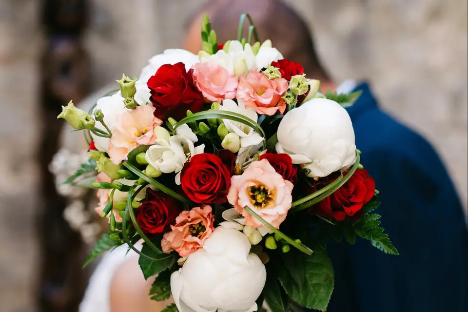 Mélissa Photographe — photo 2