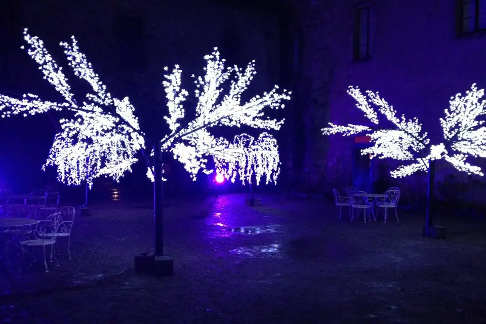 R' Evènements — photo 6