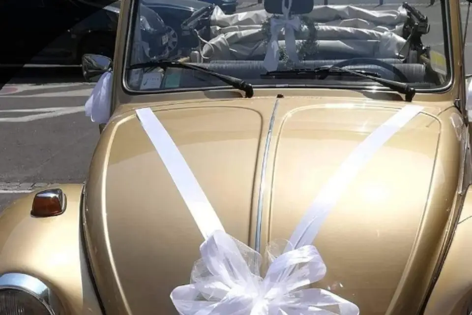 Alchimia Fleuristes — photo 2