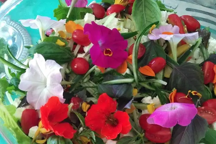 Un Chef Chez Vous — photo 7