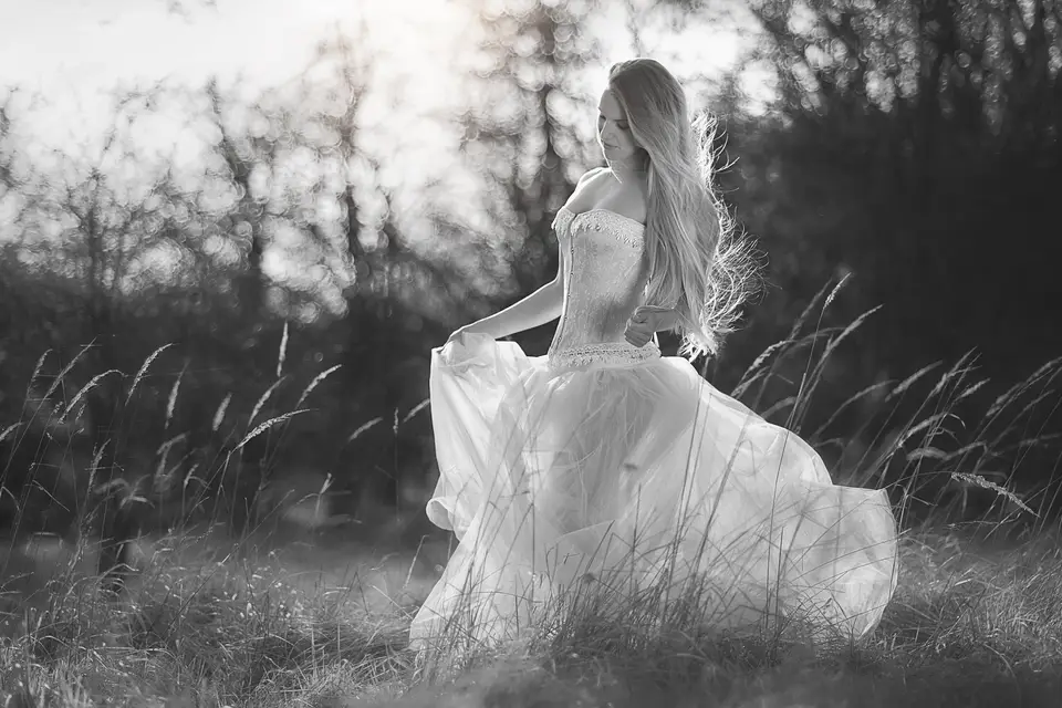 Videoevenementiel — photo 3