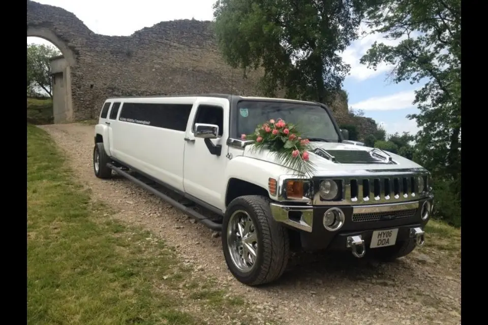 Platinum Limousine — photo 1