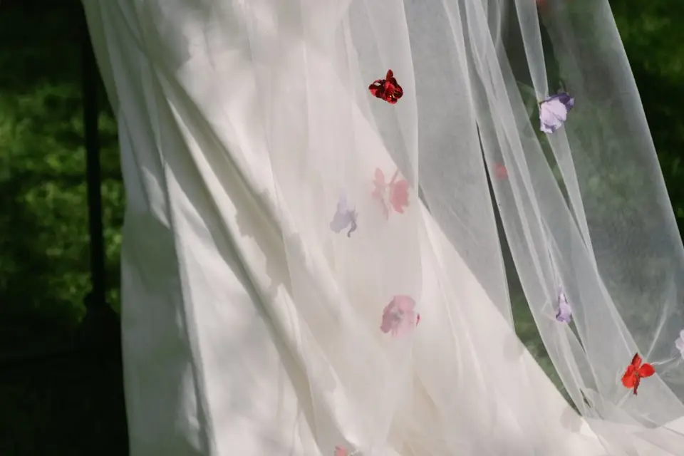 Margarida — photo 6