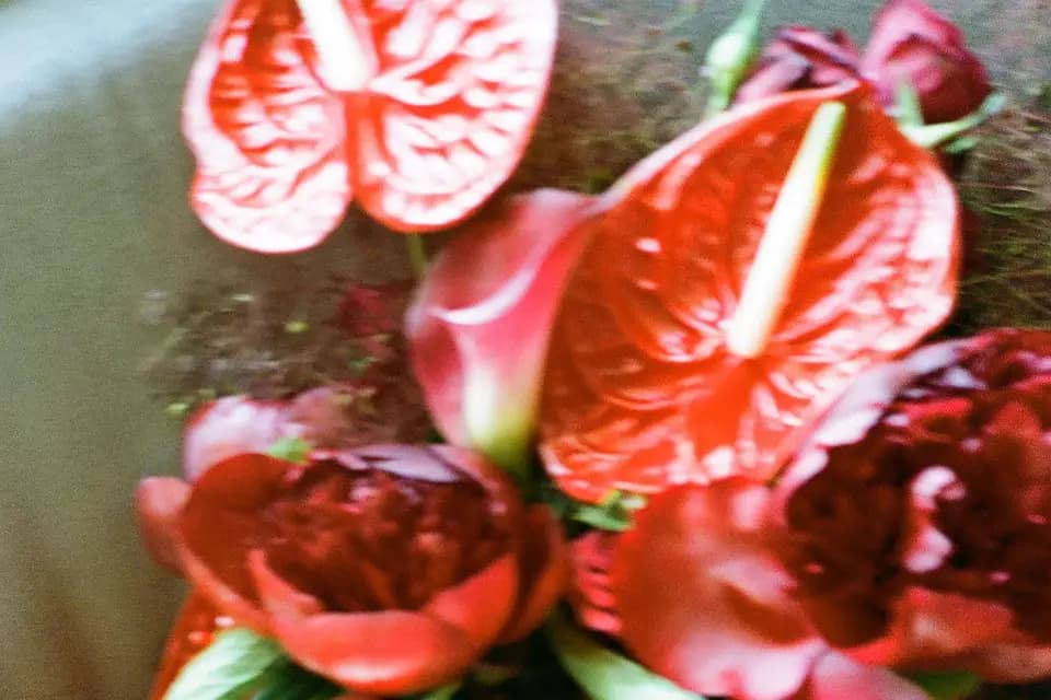 Margarida — photo 7