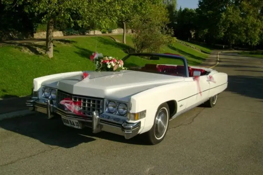 Platinum Limousine — photo 7