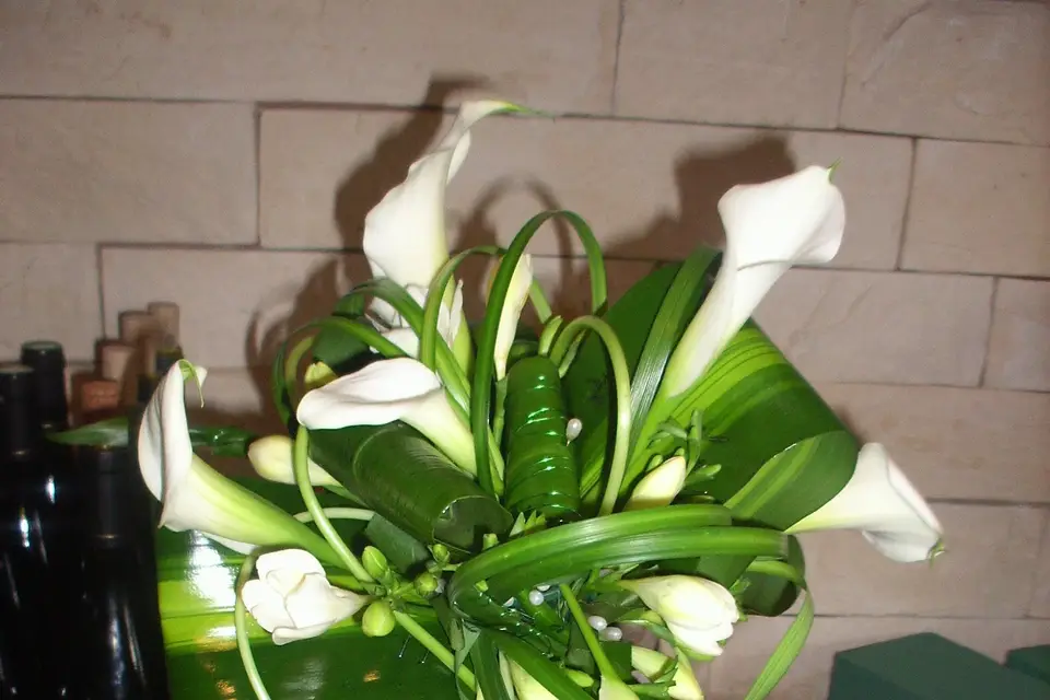 Passion Fleurs — photo 2