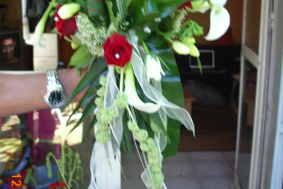 Passion Fleurs — photo 4