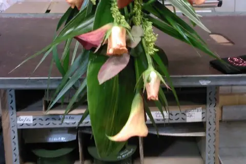 Passion Fleurs — photo 5