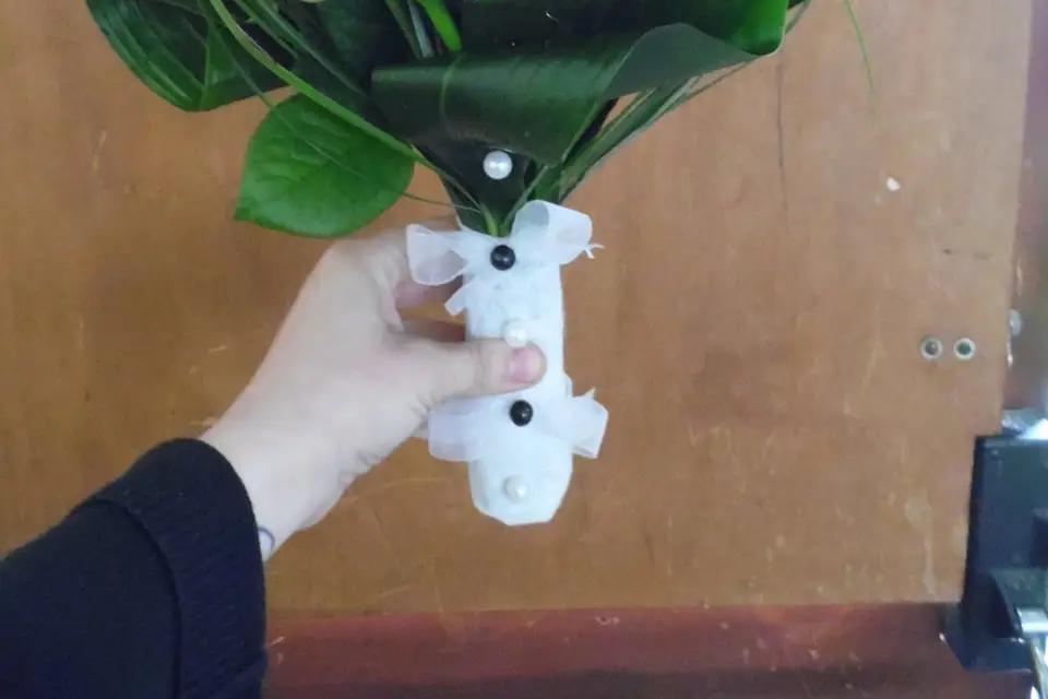 Passion Fleurs — photo 6