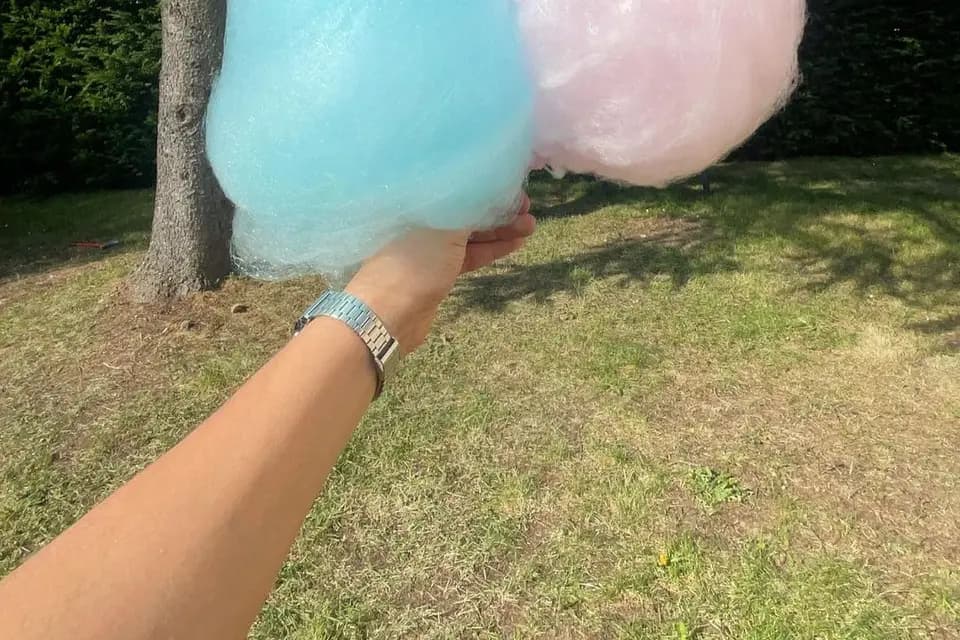 CastlePlay — photo 7