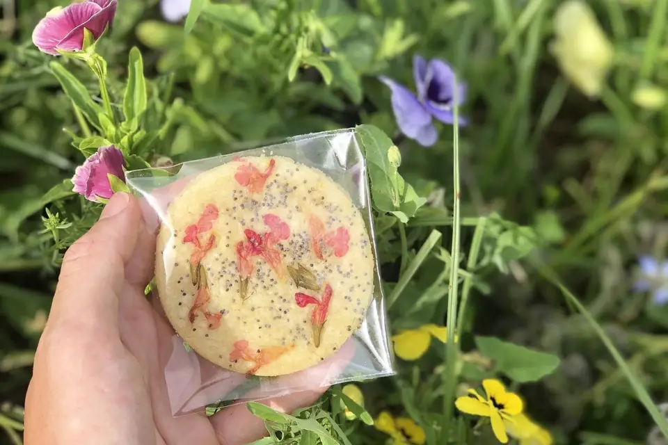 Festin by Annarose — photo 5