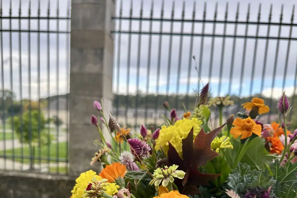 Le Chapelier -  Artisan Fleuriste — photo 2