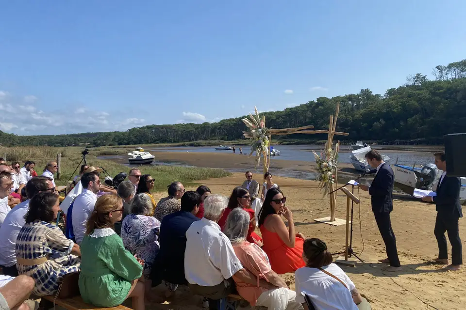 Selectid — photo 3