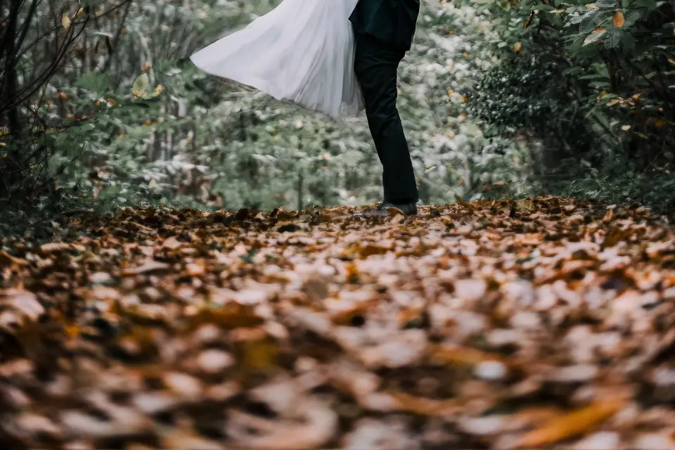 Bernik et Papillon — photo 3