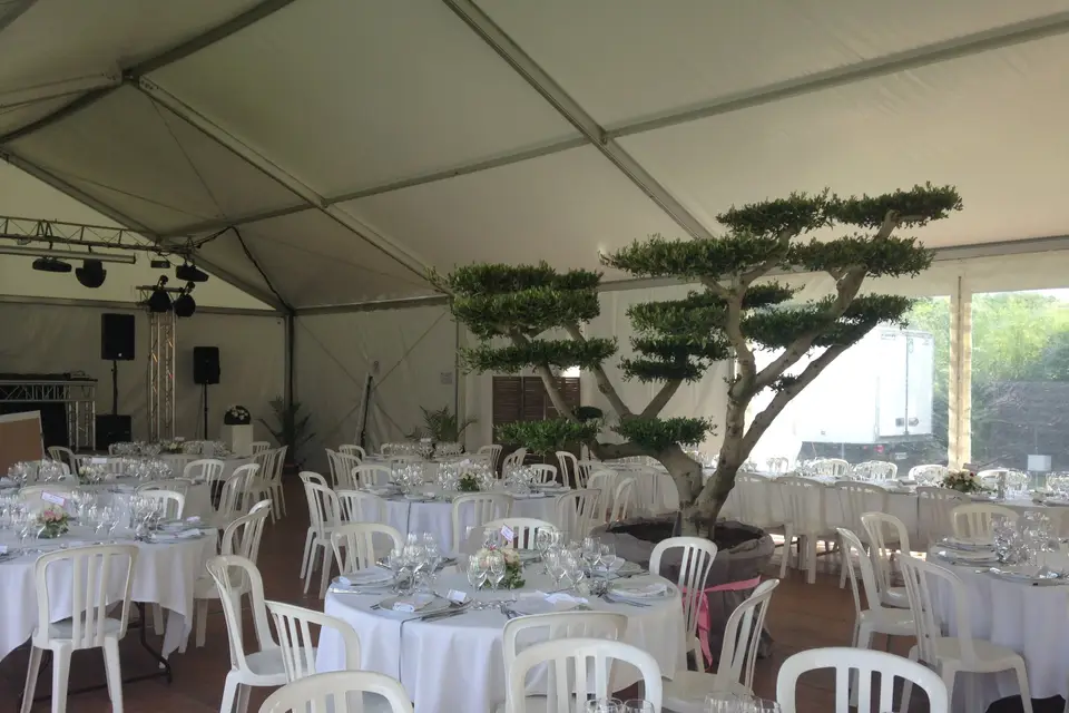 Tapis Rouge — photo 3