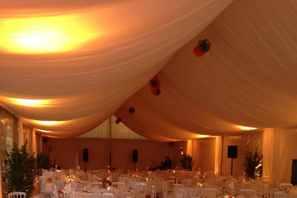 Tapis Rouge — photo 2