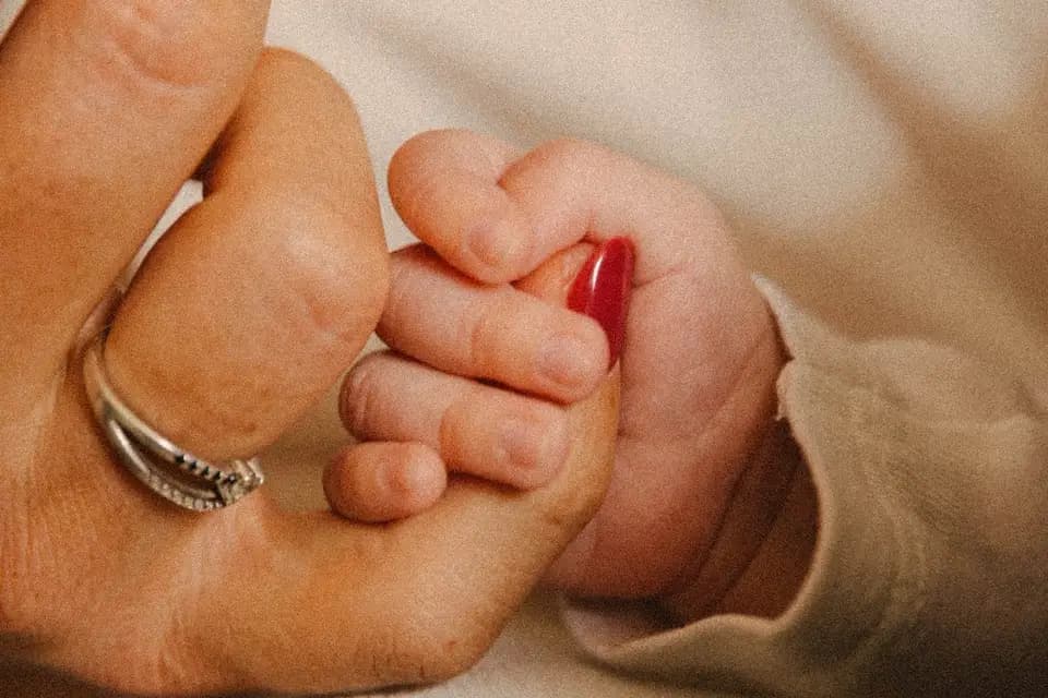 Naturellement Photos — photo 8