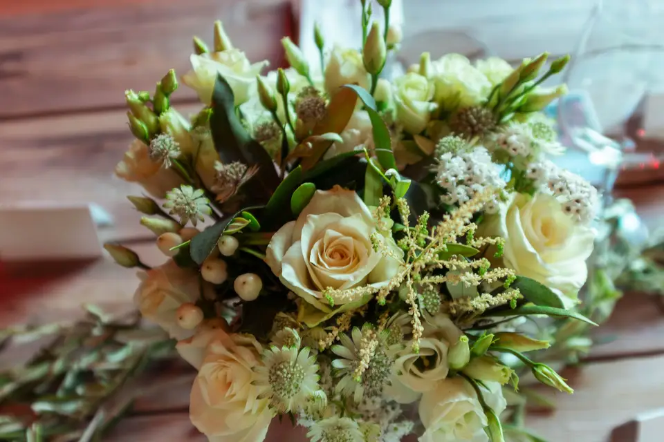 Focus Graphik — photo 1