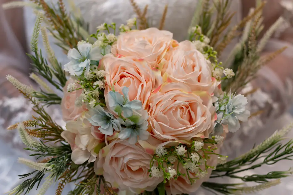 Focus Graphik — photo 3