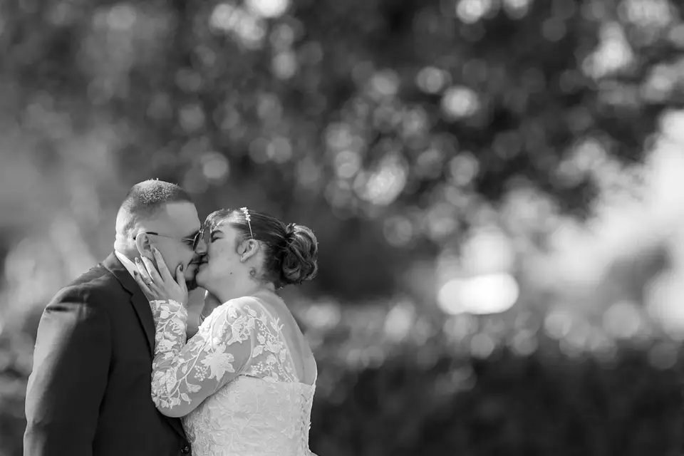 Focus Graphik — photo 4