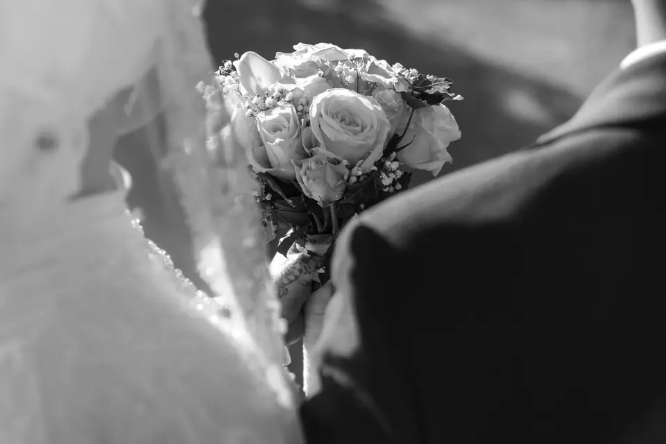 Halfyane Photography — photo 2