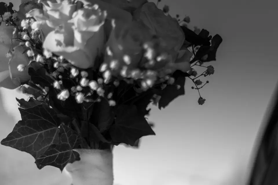 Halfyane Photography — photo 3