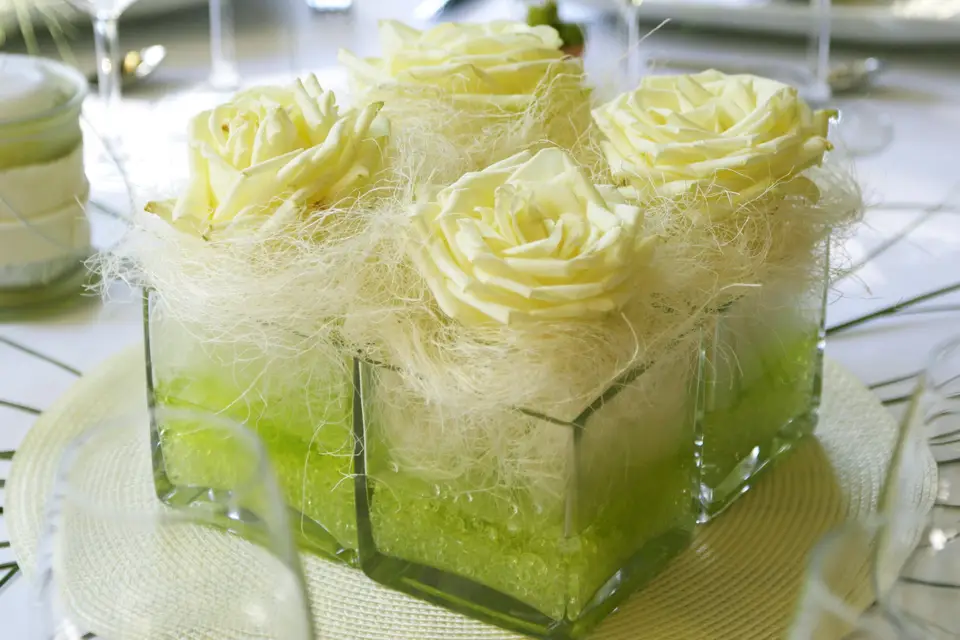 Vénus Agency — photo 4