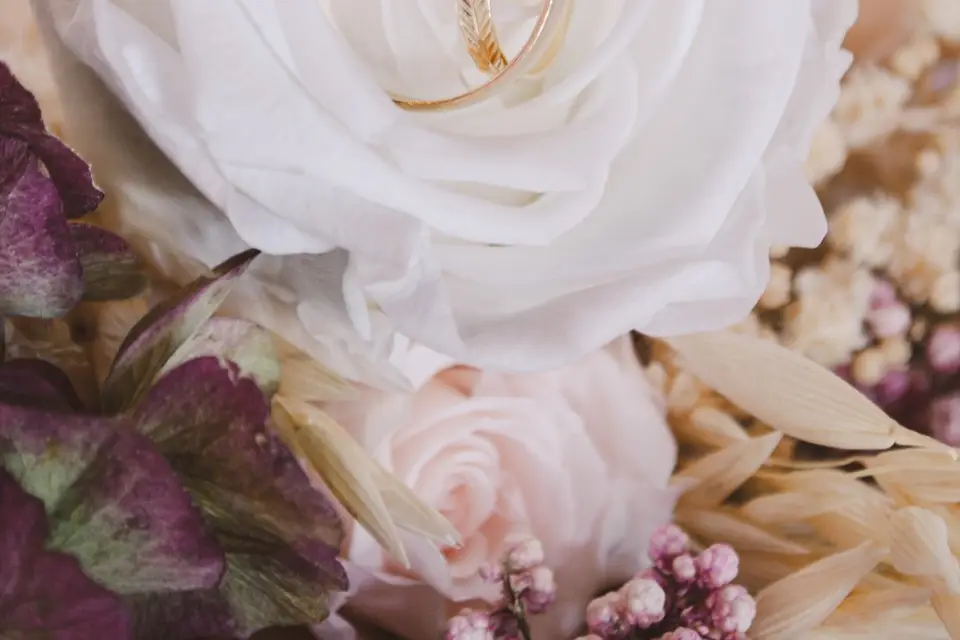 Instant Présent Photographie — photo 1